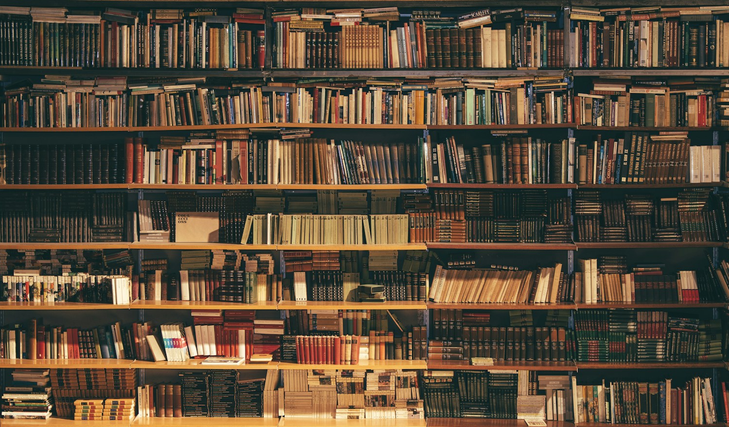 Estanterías y sala de lectura de una biblioteca